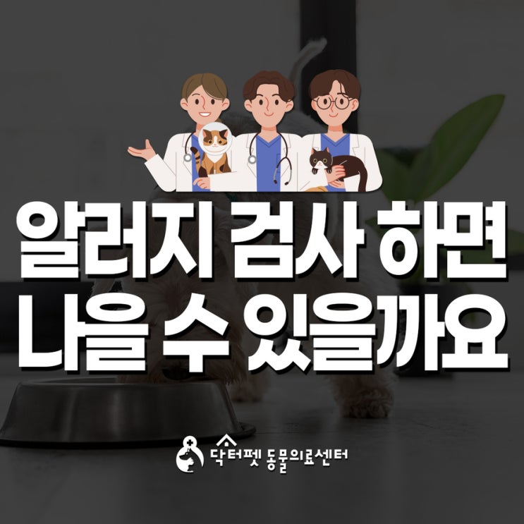  강아지 고양이 알러지 검사 해야할까 고민돼요