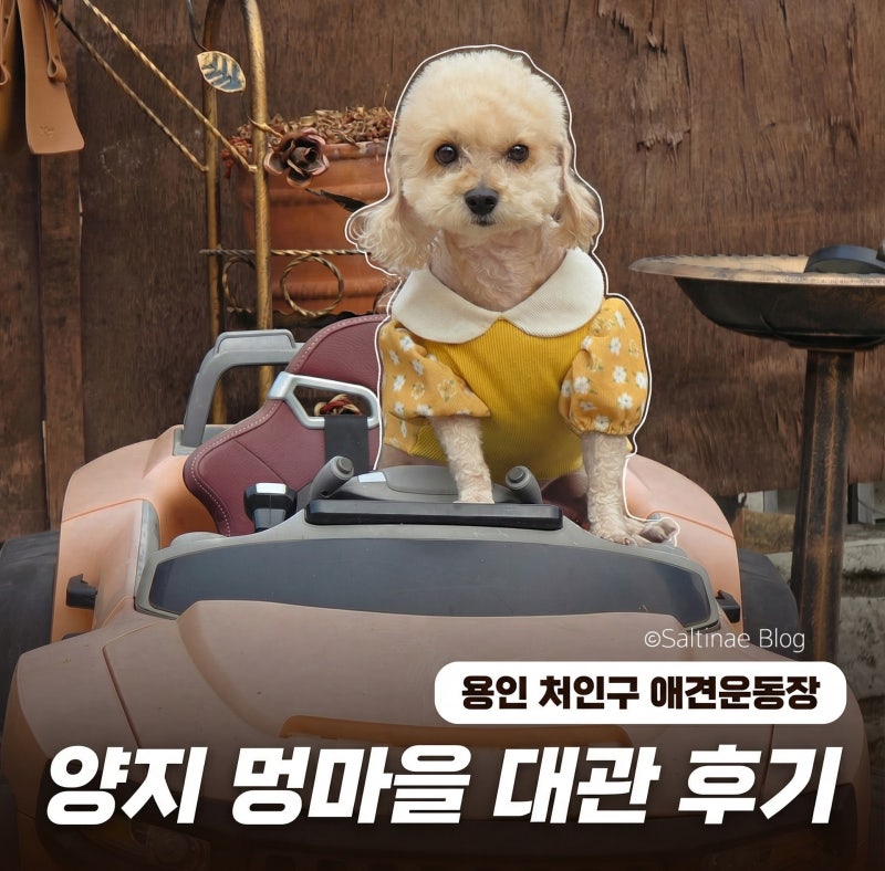사진 2