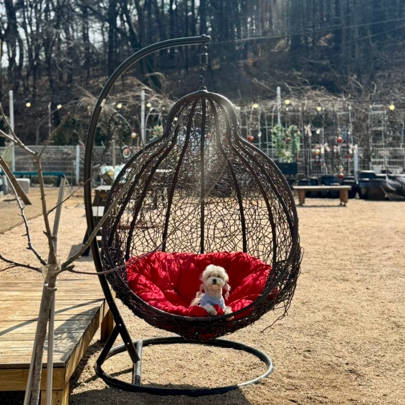 사진 7