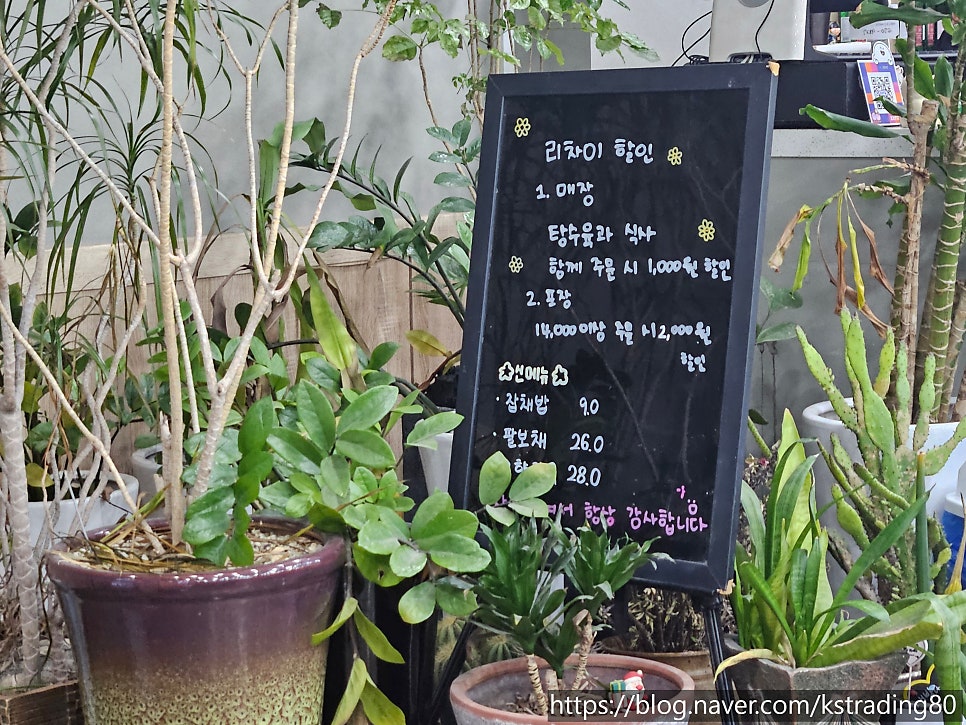 리차이 사진 7
