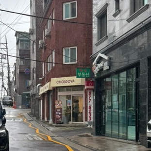 초이고야 사진 2