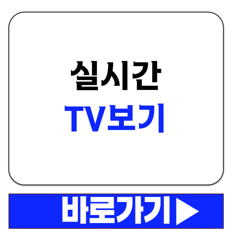  실시간 TV 보기 종편 채널 JTBC MBN TV조선 채널A 바로가기