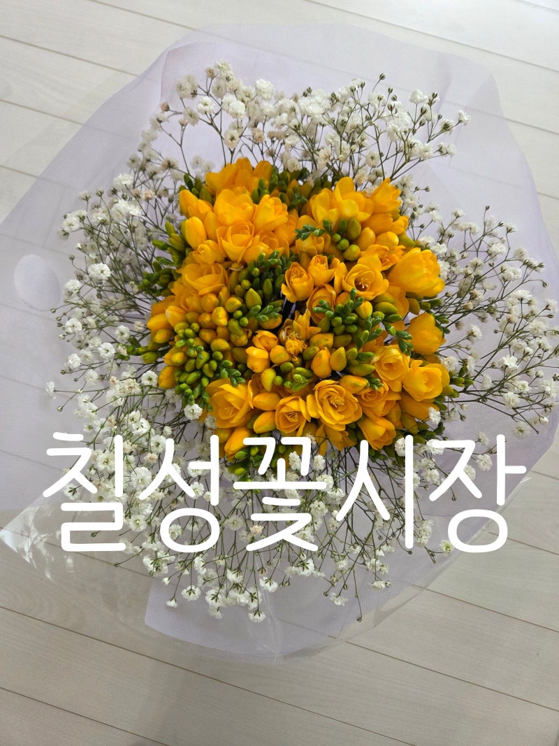 대구 칠성 꽃시장 꽃 도매시장 방문후기 프리지아 꽃다발가격 졸업 꽃