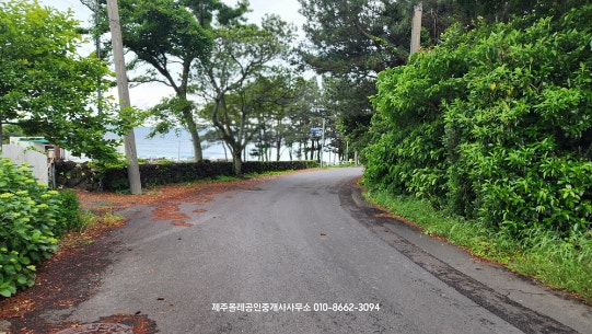 솔바람파도소리펜션 사진 4