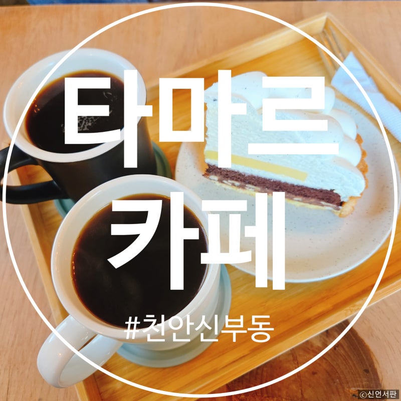 사진 2