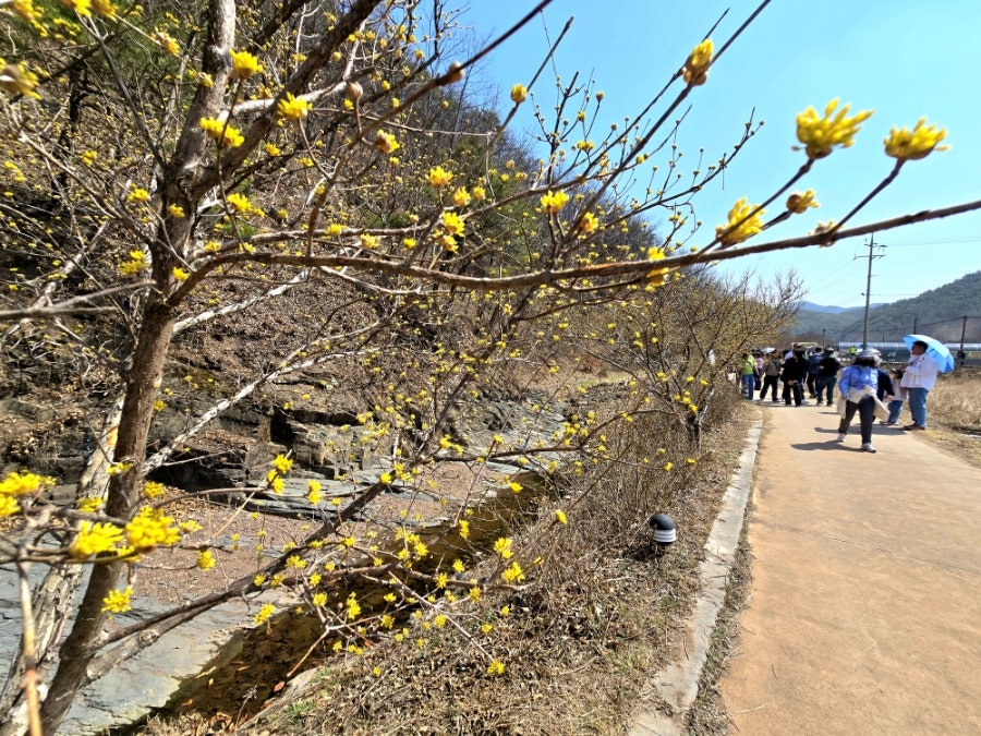 사랑채오리마을 사진 5