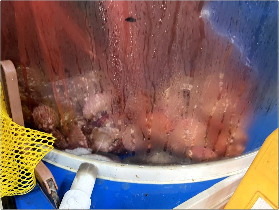 회산물식당 사진 3