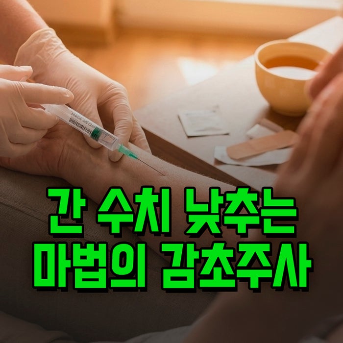 히시파겐씨주 효능 감초주사 가격 부작용