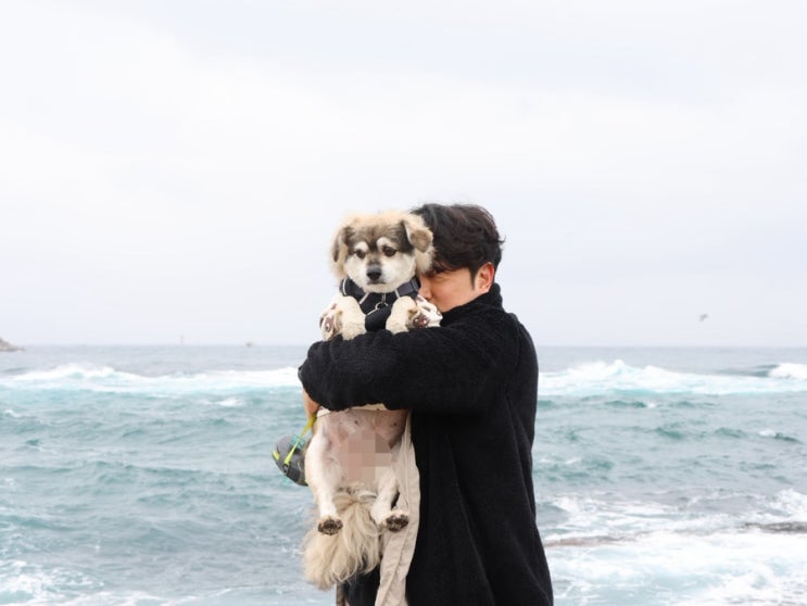  강원도 고성 바닷가 포토존 포토스팟 강아지와 여행하기
