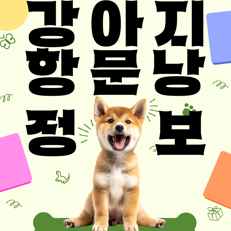  강아지항문낭 짜기 방법과 주기  색으로 보는 염증 신호까지 정리