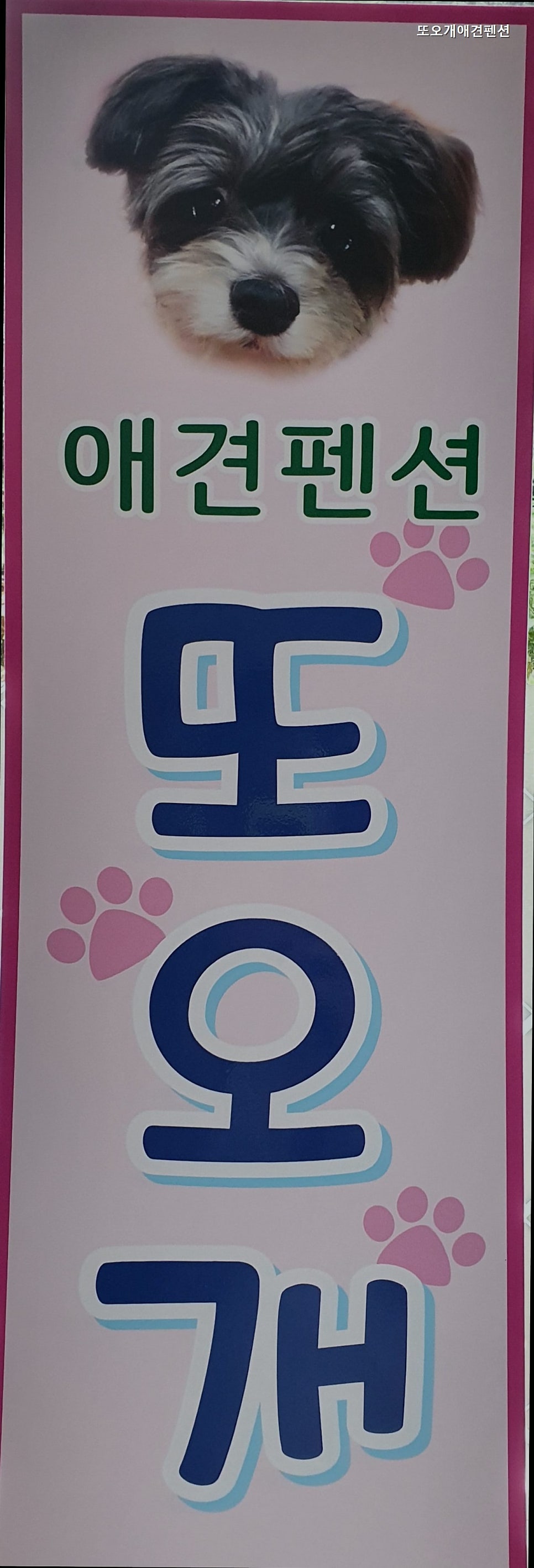 또오개애견펜션 사진 3