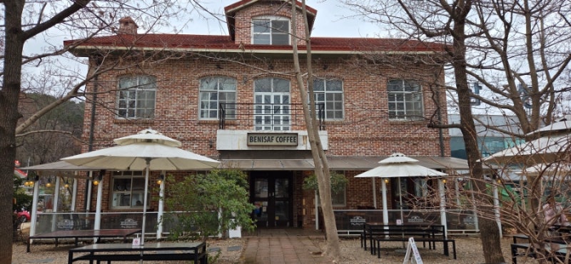 순천 웃장 맛집 추천 | 향촌식당 국밥과 베니샤프 커피 본점까지 순천만 여행 코스