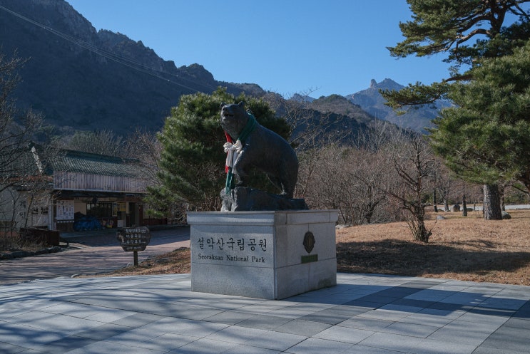  속초 설악산 케이블카 가격 할인 가족여행 볼거리