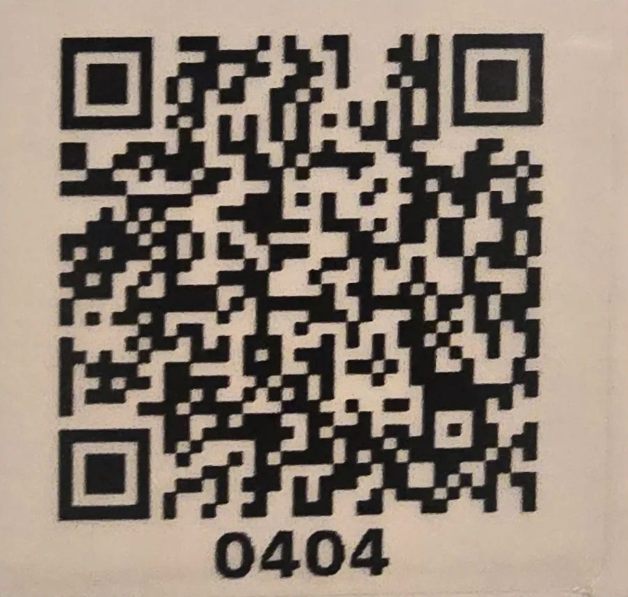 홍화 사진 1