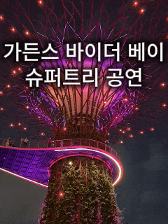  싱가포르 가든스 바이 더 베이 슈퍼트리 조명쇼 후기｜공연 시간·명당·야경 꿀팁 총정리