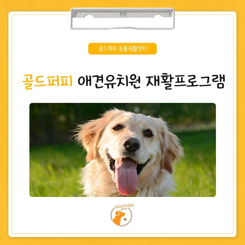 사진 5