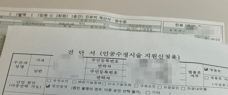  40. 인공수정 시작(송파마리아병원 손희진선생님)