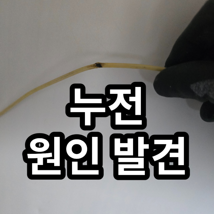  [구의동 누전수리] 전등은 켜지는데 콘센트만 안 들어올 때? 원인은 벽 속 전선 손상!