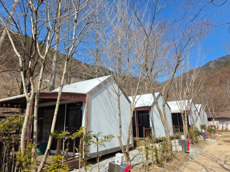 소백산 삼가 국립공원 눈오는 날 A7특화야영장 이용후기 명당자리