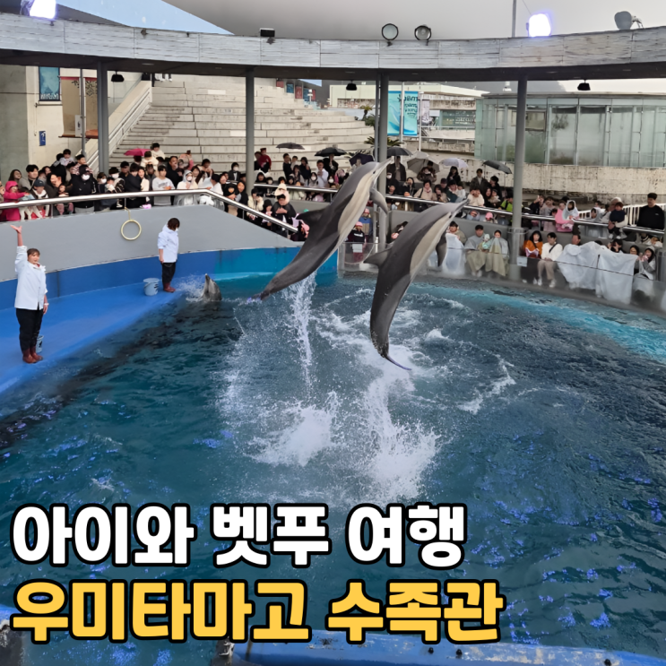  아이와 벳푸 여행 3일차비 오는 날 가볼 만한 곳 우미타마고 수족관 후기