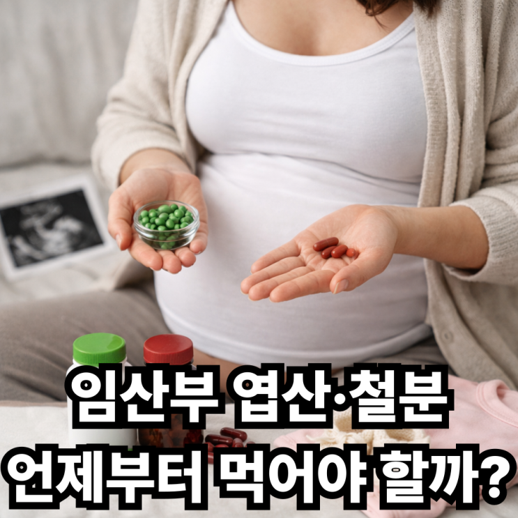  임산부 엽산·철분 복용 시기별 가이드  언제부터 얼마나 먹어야 할까?