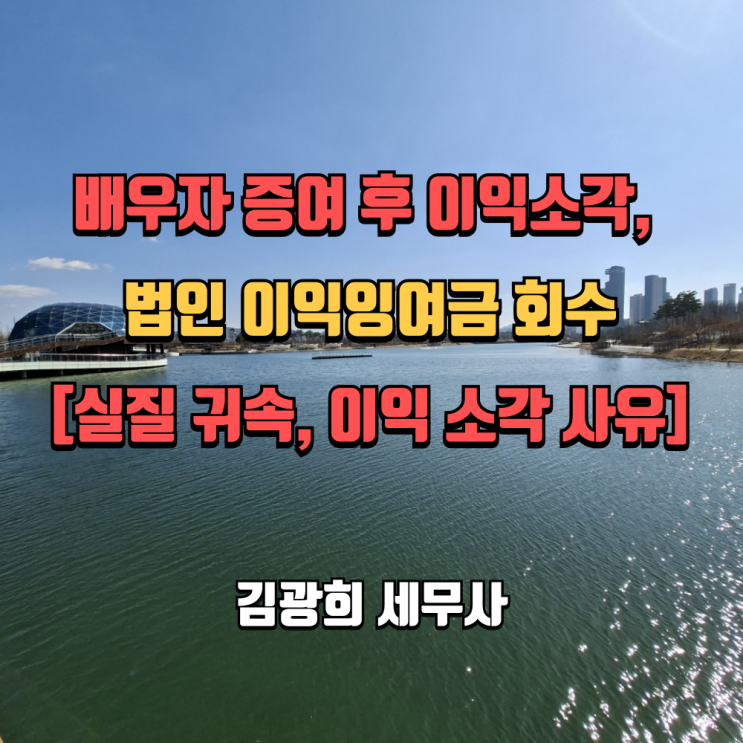  배우자 증여 후 이익소각, 법인 이익잉여금 회수[실질 귀속, 이익 소각 사유]