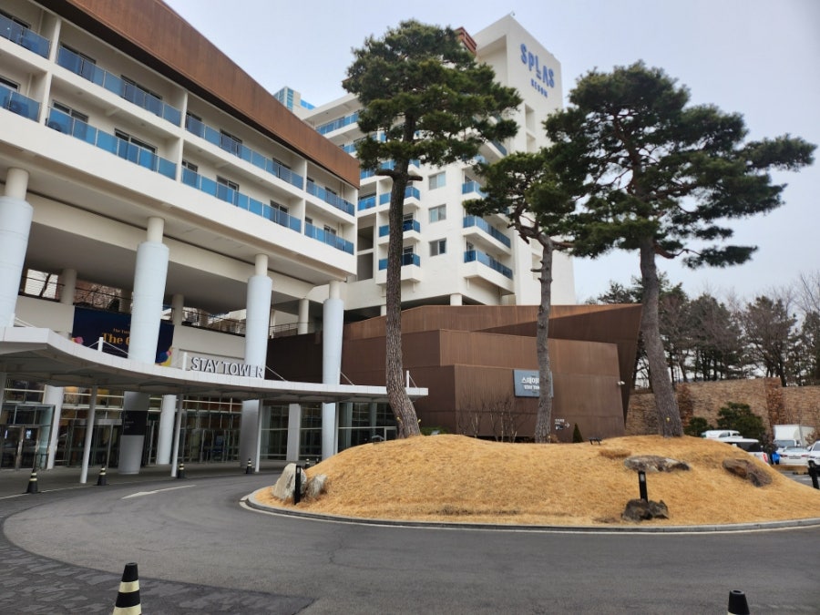 부산어묵 스플라스리솜점 사진 1