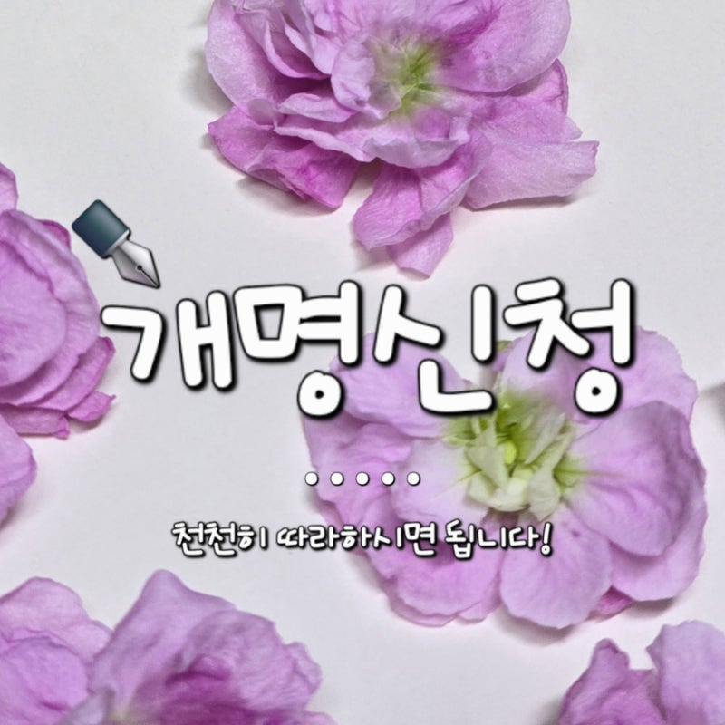 인터넷 개명신청 (직접 신청 방법) | 어렵다고 느껴지지만 자세히 알려드릴게요!