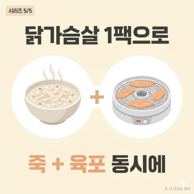 강아지 닭죽 레시피, "쌀만 주면 안 먹어요" 이유가 있었습니다