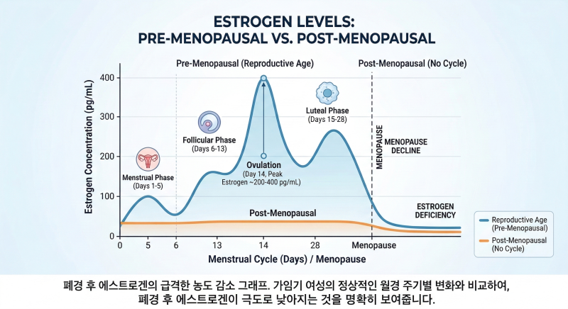 갱년기 후 다이어트가 유독 힘든 이유와 해결책