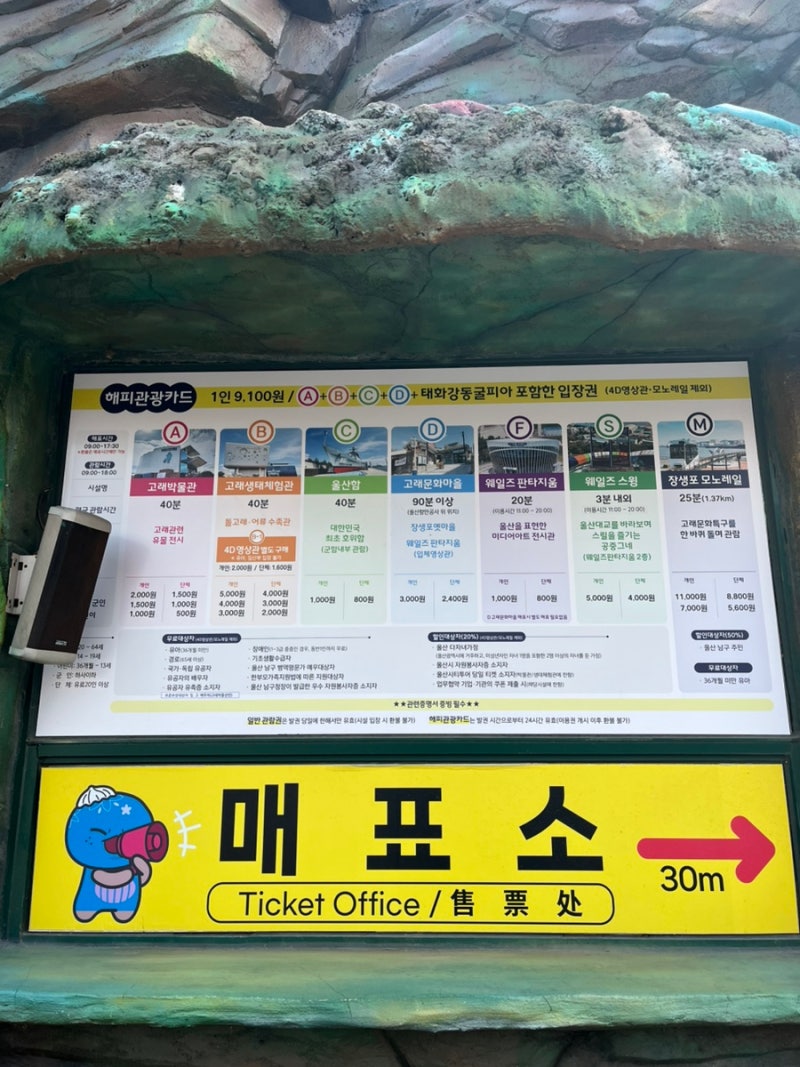 사진 3