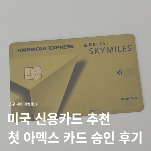  미국 신용카드 추천 AMEX 델타 스카이마일즈 골드 첫 아멕스 카드 승인 후기 (+리퍼럴 링크)