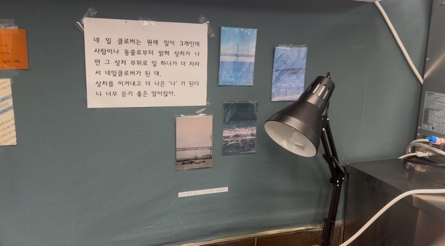 수제돈가스청연 용봉운암점 사진 3