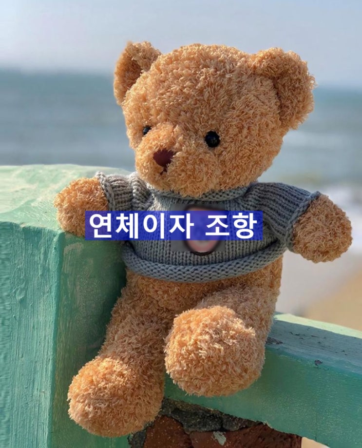  연체이자 조항