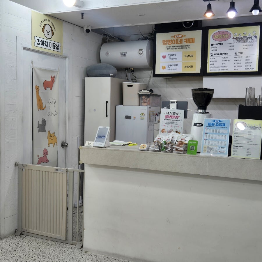 멍멍이네 사진 3