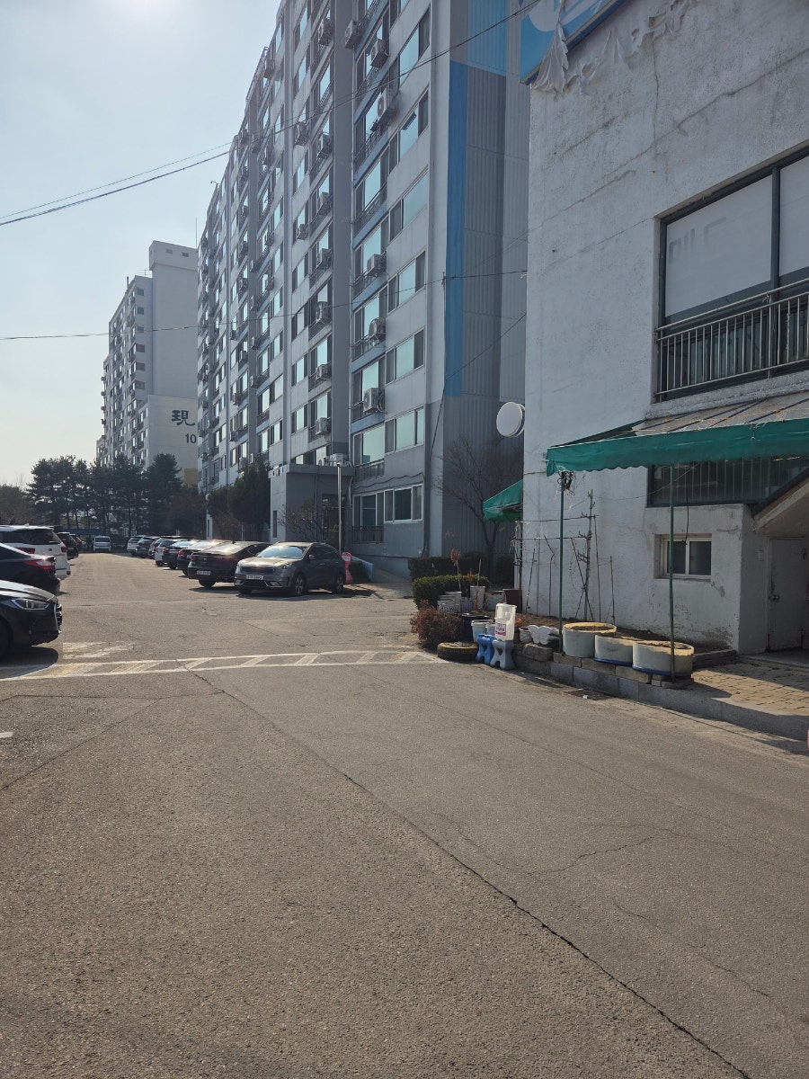 오늘도소담 사진 4