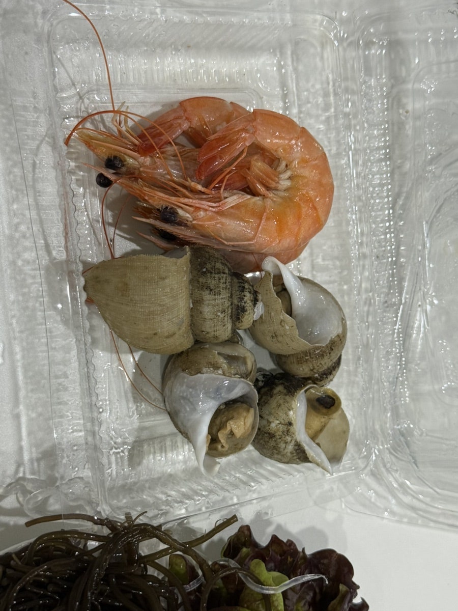 해선회타운 사진 4