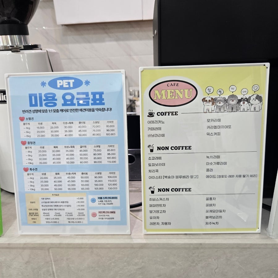 멍멍이네 사진 6