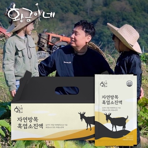  요즘 챙겨 먹는 건강 식품 3종 솔직 비교 후기