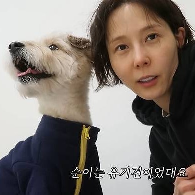 “우리 집에 강아지 왔어요” 김나영 '새 식구' 공개…'유기견' 순이 이야기 ('김나영의 노필....