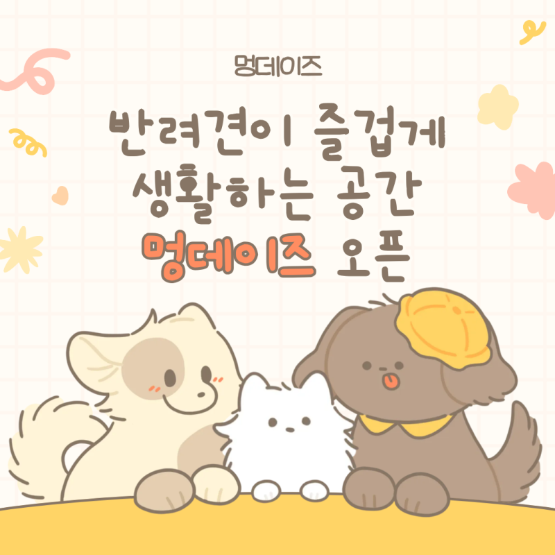 멍데이즈 애견유치원&애견호텔