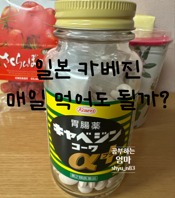 일본 카베진 효능과 복용법