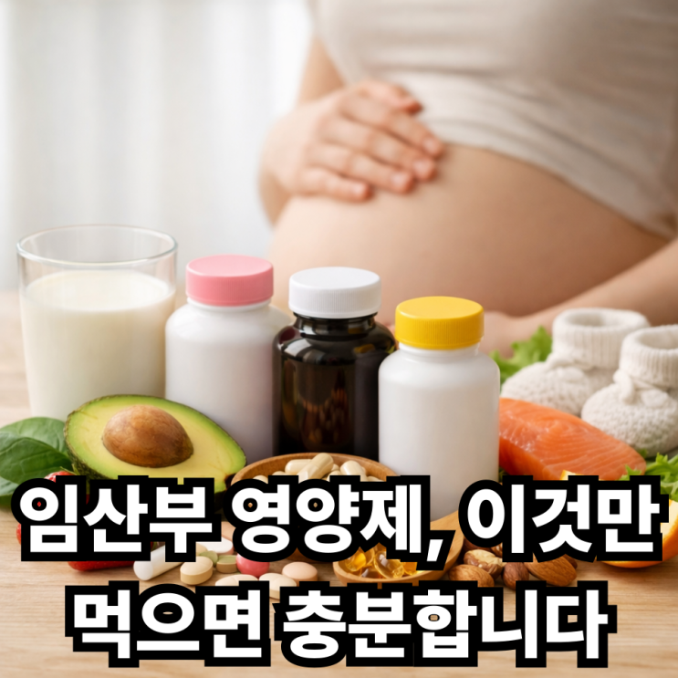 임산부 건강기능식품  꼭 필요한 것만 정리