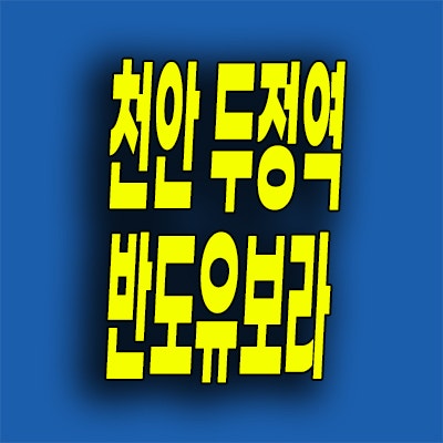  천안 두정동 즉시입주아파트 두정역 반도유보라 잔여세대 준공후해지분