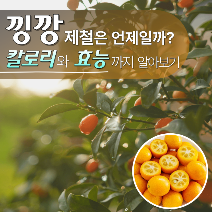  낑깡 효능 제철 칼로리 뜻 금귤