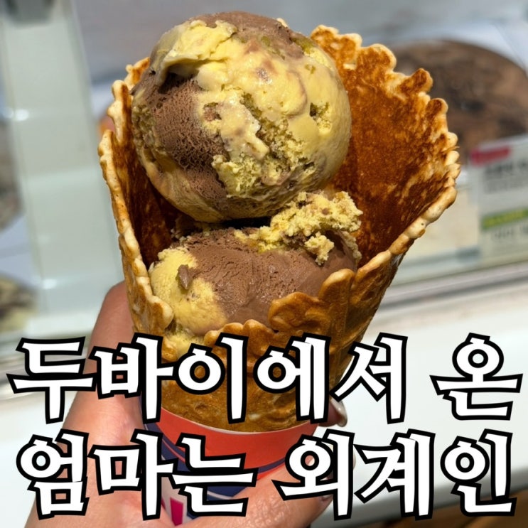  베스킨라빈스 두바이에서 온 엄마는 외계인 후기｜3월 이달의 맛 더블주니어 솔직 리뷰