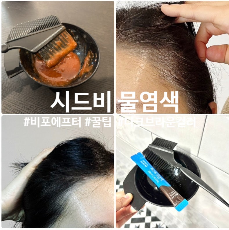 시드비 물염색 | 찐후기 | 비포&에프터 | 초보도 성공하는 꿀팁 + 쿠팡 염색전용 볼 세트