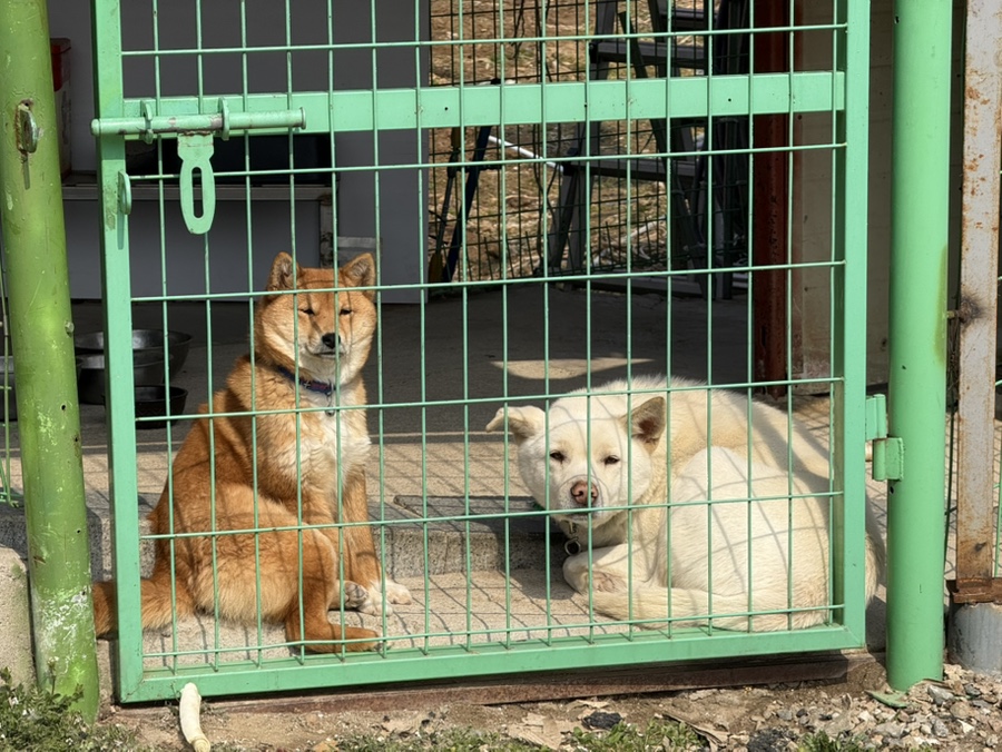 은아 사진 3