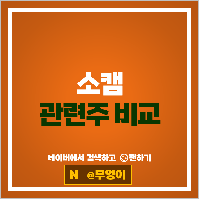 반도체 소캠 관련주 심텍 ISC 주가 대덕전자 코리아써키트 주식