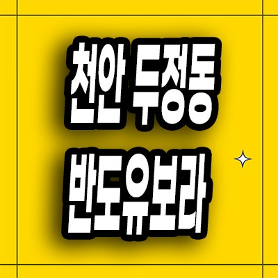  천안 두정동 즉시입주아파트 두정역 준공후 미분양 반도유보라 회사보유분